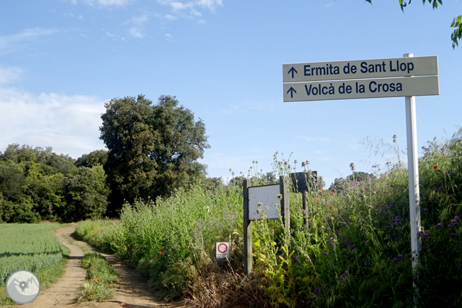 Volta pel Rec de Banyacans i les Fonts de Salitja 1 