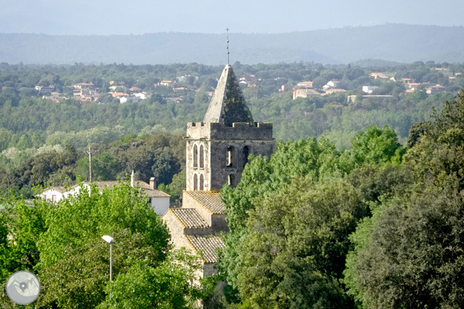 Volta pel Rec de Banyacans i les Fonts de Salitja 1 