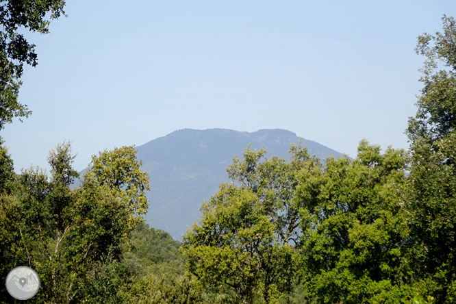 Volta pel Rec de Banyacans i les Fonts de Salitja 1 