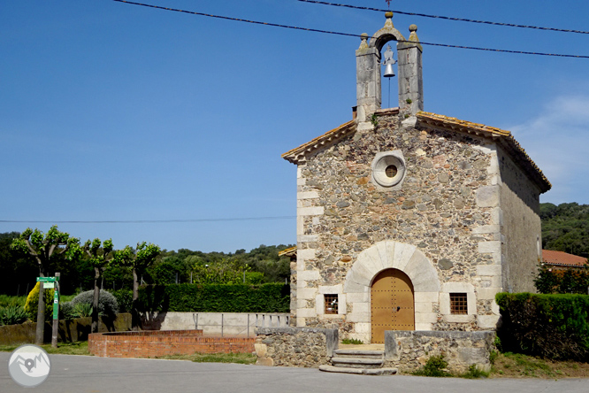 Volta pel Rec de Banyacans i les Fonts de Salitja 1 