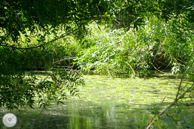 Volta pel Rec de Banyacans i les Fonts de Salitja 1 