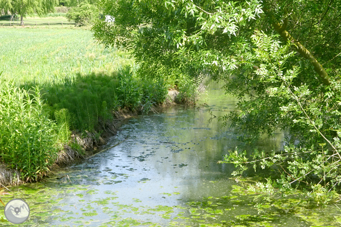 Volta pel Rec de Banyacans i les Fonts de Salitja 1 