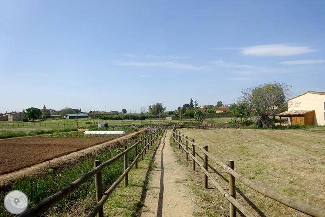 Volta pel Rec de Banyacans i les Fonts de Salitja 1 