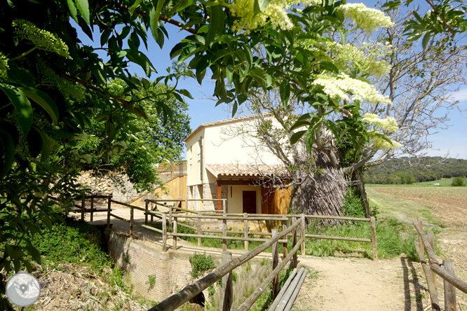 Volta pel Rec de Banyacans i les Fonts de Salitja 1 