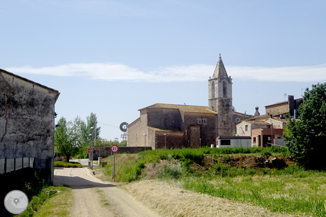 Volta pel Rec de Banyacans i les Fonts de Salitja 1 